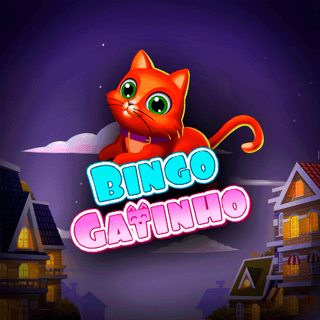 Bingo Gatinho